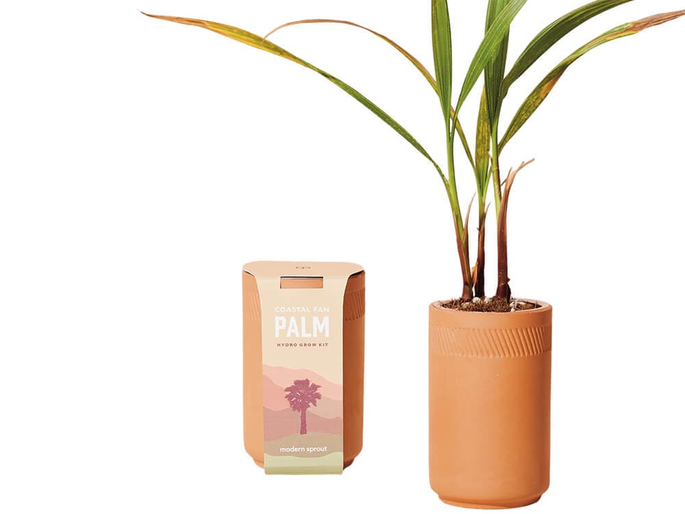 Terracotta Grow Kit